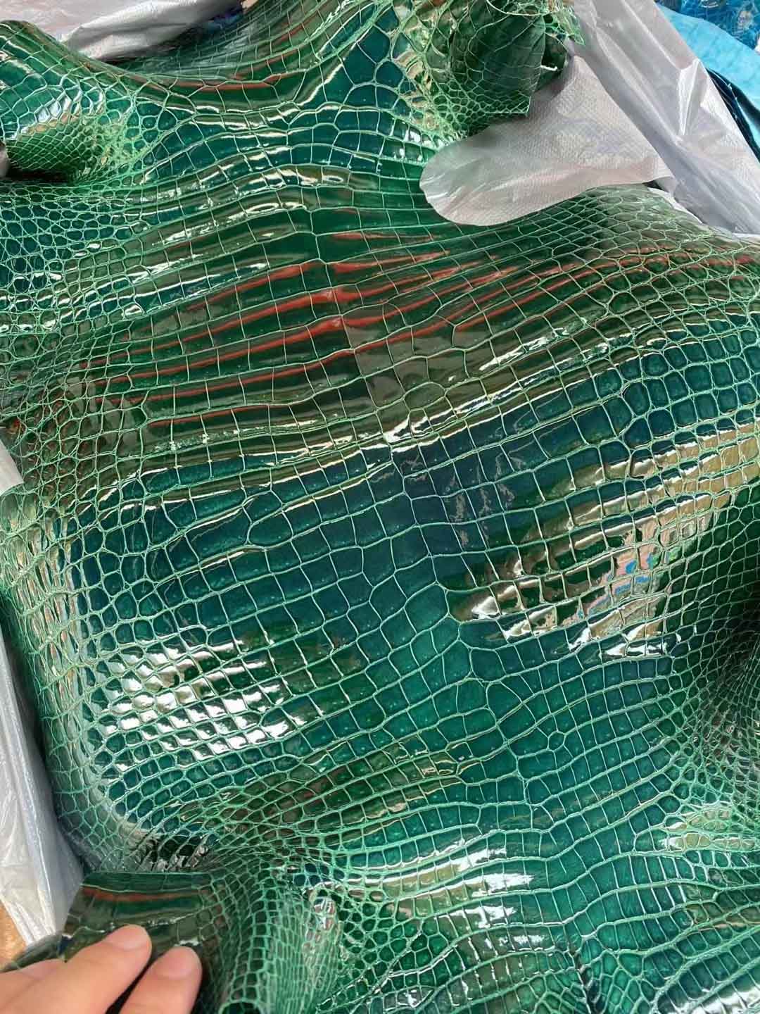 湾鳄之祖母绿