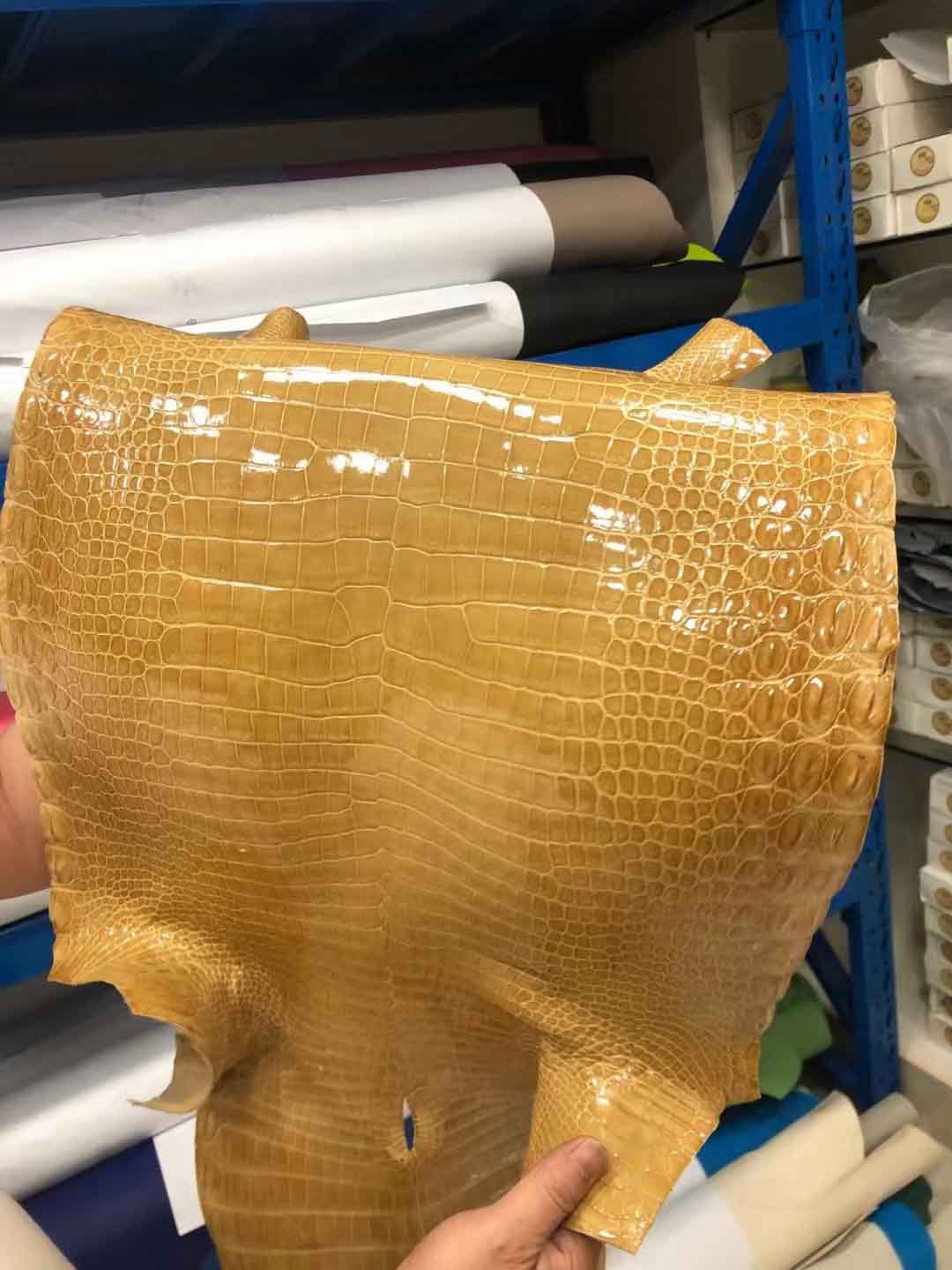 烟草色湾鳄